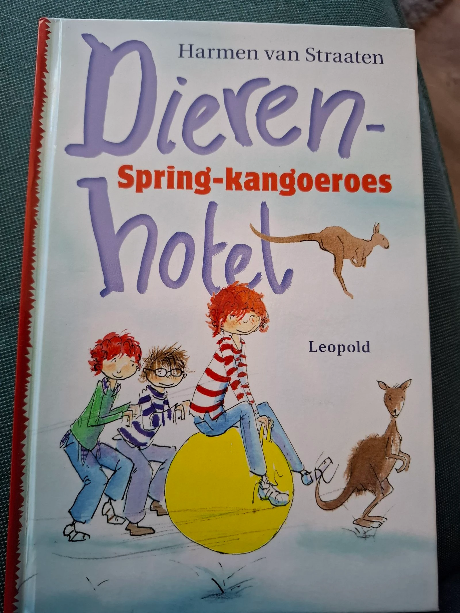 Spring-kangoeroes